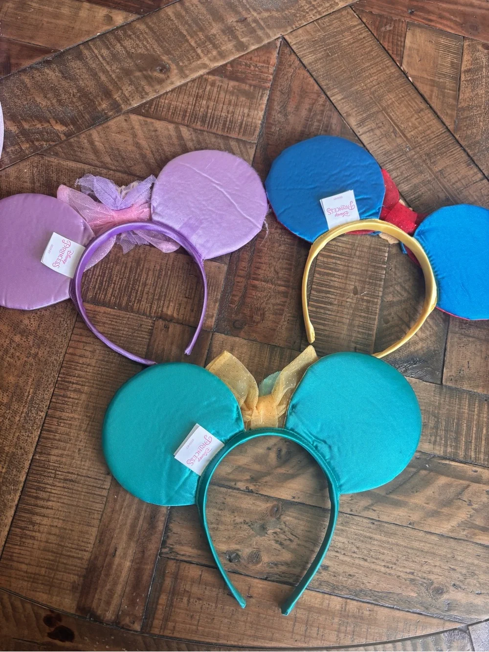 Disney authentic parks